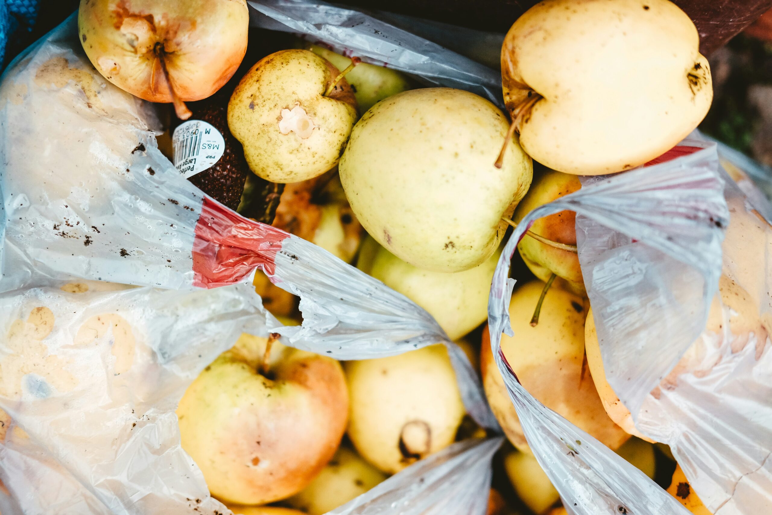 A happy family unloading grocery bags filled with fruits, vegetables, and pantry staples from their car trunk.