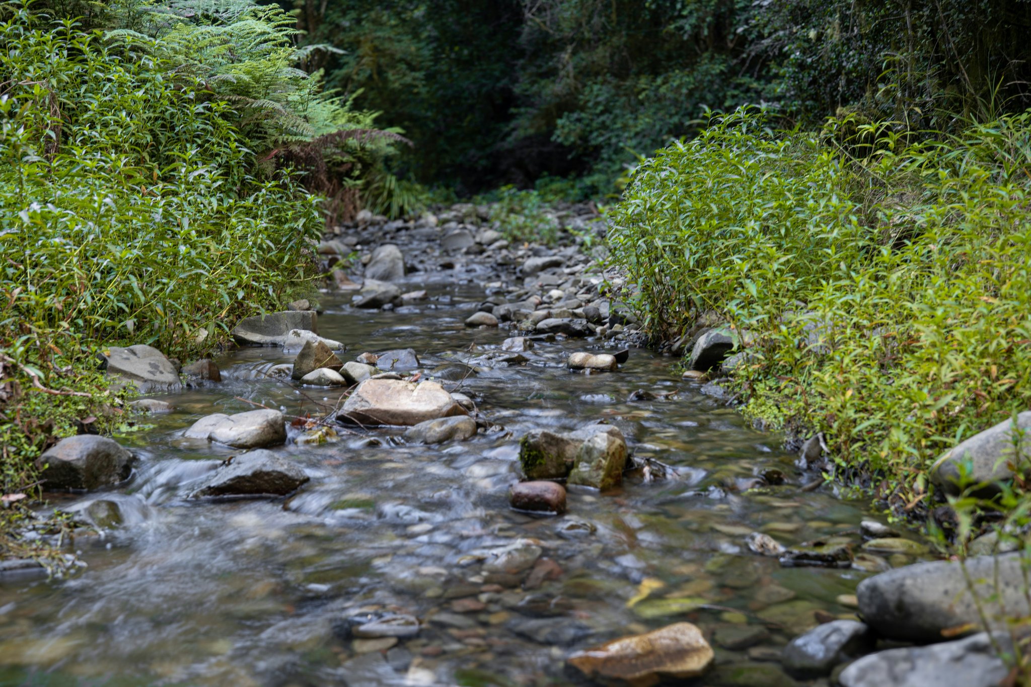 Top 5 Tops Store Smart Purchase Ideas for Health-Conscious Shoppers