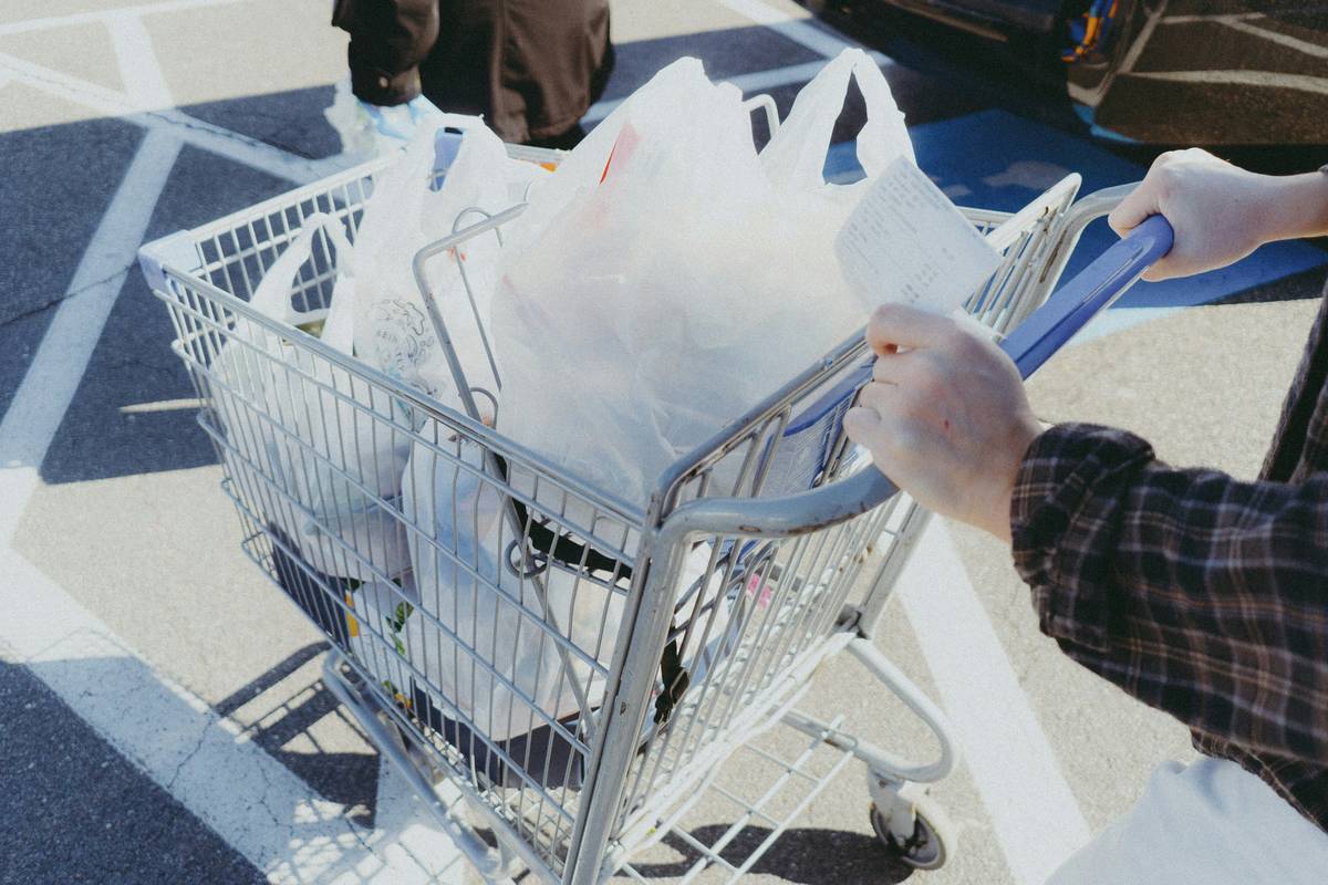 A full grocery cart filled with affordable healthy options