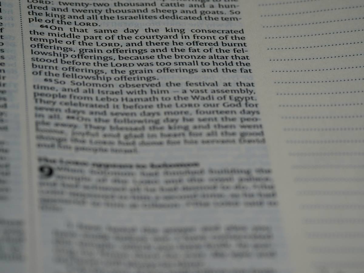 close up, bokeh, macro, blur, blurred background, close focus, bible, old testament, 1 kings, book of kings, kings, ספר מלכים‎, sêp̄er malḵîm, hebrew bible, destruction of judah, babylon, babylonian exile, Deuteronomistic history, a history of Israel, rabbinic literature, shavuot, christian, judaism, history, text, reading, bible study, devotions, text, NIV, New International Version, type, typography, canon, christianity, holy scripture, holy bible, scripture, tanakh, nevi'im, ketuvim, septuagint,