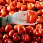 Healthy Heart Market Website: 7 Proven Tips to Avoid Costly Mistakes