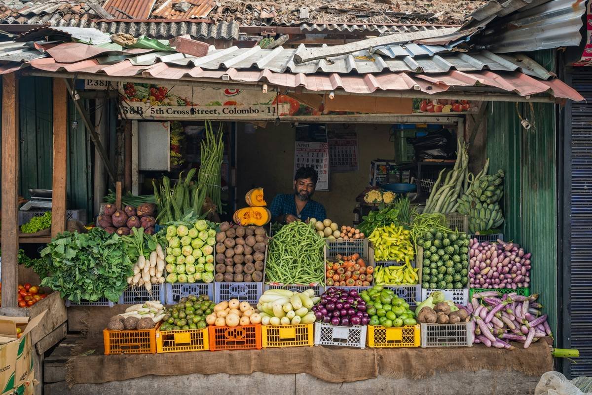 what is weekly market illustrated by grocery flyers and fresh produce at Tops Friendly Markets